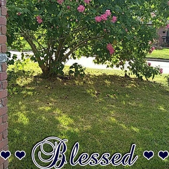 Meet your Posher, Shirley - Picture 1 of 1